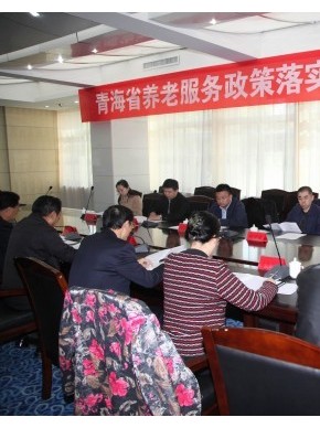 民政部督查组对我省养老服务业发展政策落实情况进行督查