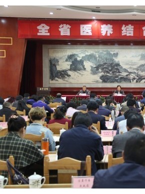 省民政厅 省卫生计生委共同召开全省医养结合工作会议