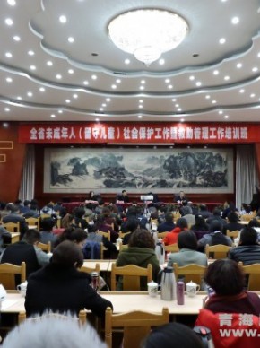 青海省举办全省未成年人（留守儿童）社会保护工作暨救助管理工作培训班