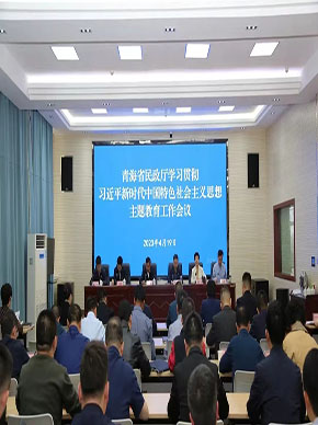 省民政厅组织召开学习贯彻习近平新时代中国特色社会主义思想主题教育工作会议