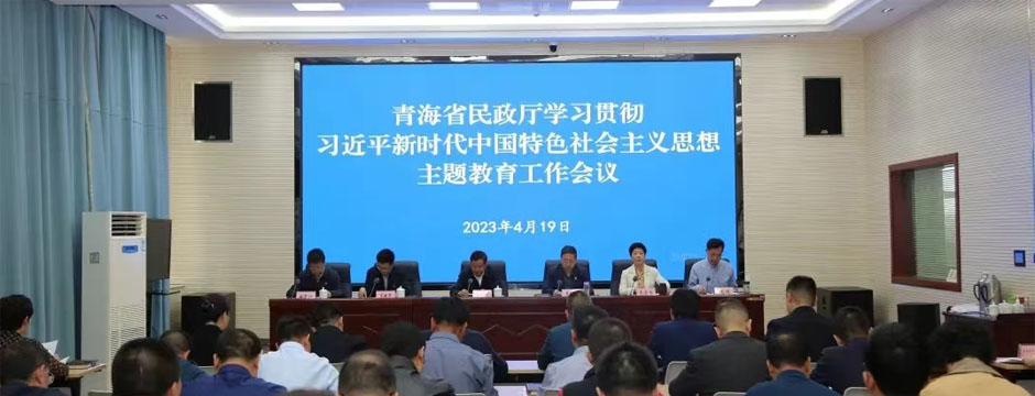 省民政厅组织召开学习贯彻习近平新时代中国特色社会主义思想主题教育工作会议