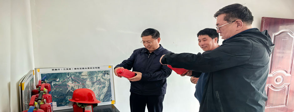 省民政厅党组书记、厅长董杰人调研北山三叉岭、付家寨绿化区工作