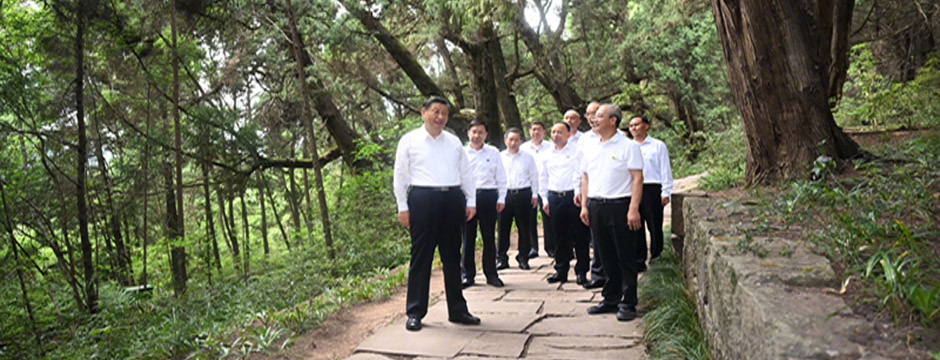 习近平在四川考察调研