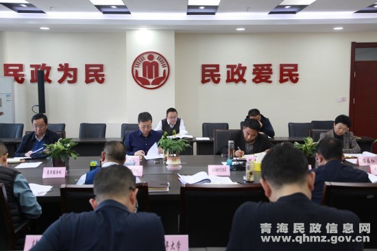 青海省民政厅谋篇布局绘新图精准发力开新篇